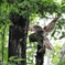 フクロウさんの羽模様