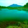 池塘の向こうに