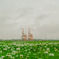 SDIM0582