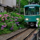 あじさい列車