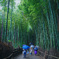 雨の嵐山