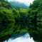REFLECTION