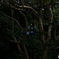 F5F226FD-E25B-47C6-BC0B-8ECD881B0723