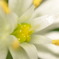 photo_1184400