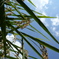 photo_1184807