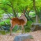 柔らかっ
