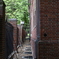 Corner of Harvard(ハーバードの隅)