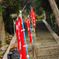 DSC_0001a (219)