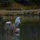 DSC_0001a (433)