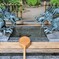 手水舎の龍神