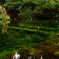 Ikeyama suigen