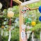 松尾大社の風鈴