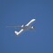甲子園の空から　20230617