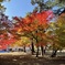 上田城跡公園の紅葉の様子8