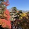 上田城跡公園の紅葉の様子16