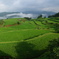 DSC04432