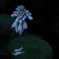陰の花