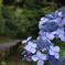 DSC04445