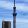 東京スカイツリー