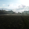 DP2M0554