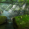 水と光の楽園