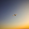 夕焼けと旅客機