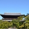 三門と青