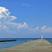 真夏の河口