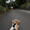 ネコトミコ