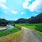 田舎の夏