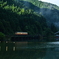 夏の朝