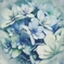 ennui hydrangea