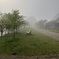 a misty morning