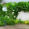 朝の散歩にて