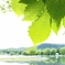 十和田湖　うたるべ