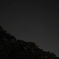 森と星