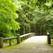吾平山上陵