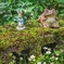 ある日森の中