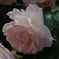 K7__6882