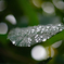 雨・模様