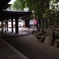 昼下がりの神社