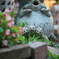 DSC03277