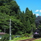 暑～い里山にSLが来た 