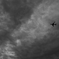 TK1_0748