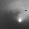 TK1_1009