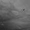 TK1_1029