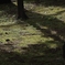 2011-05-15_0067
