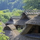 西湖いやしの里根場