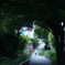 京都