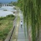 京都